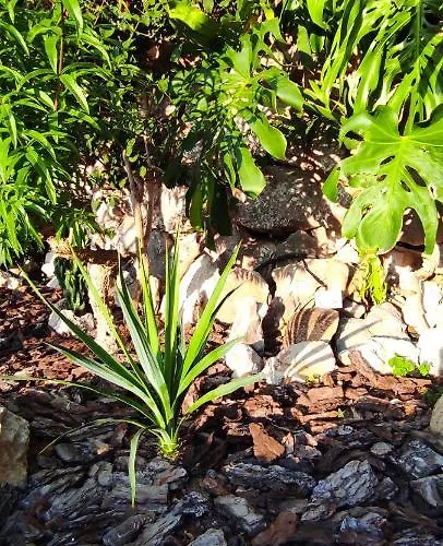 Bed and breakfast La Casa Di Armando 4*