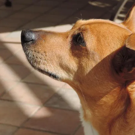 La Casa Di Armando 4*