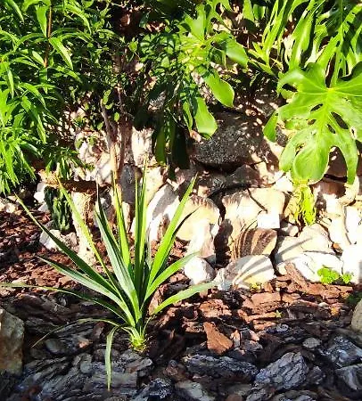 Bed and breakfast La Casa Di Armando 4*